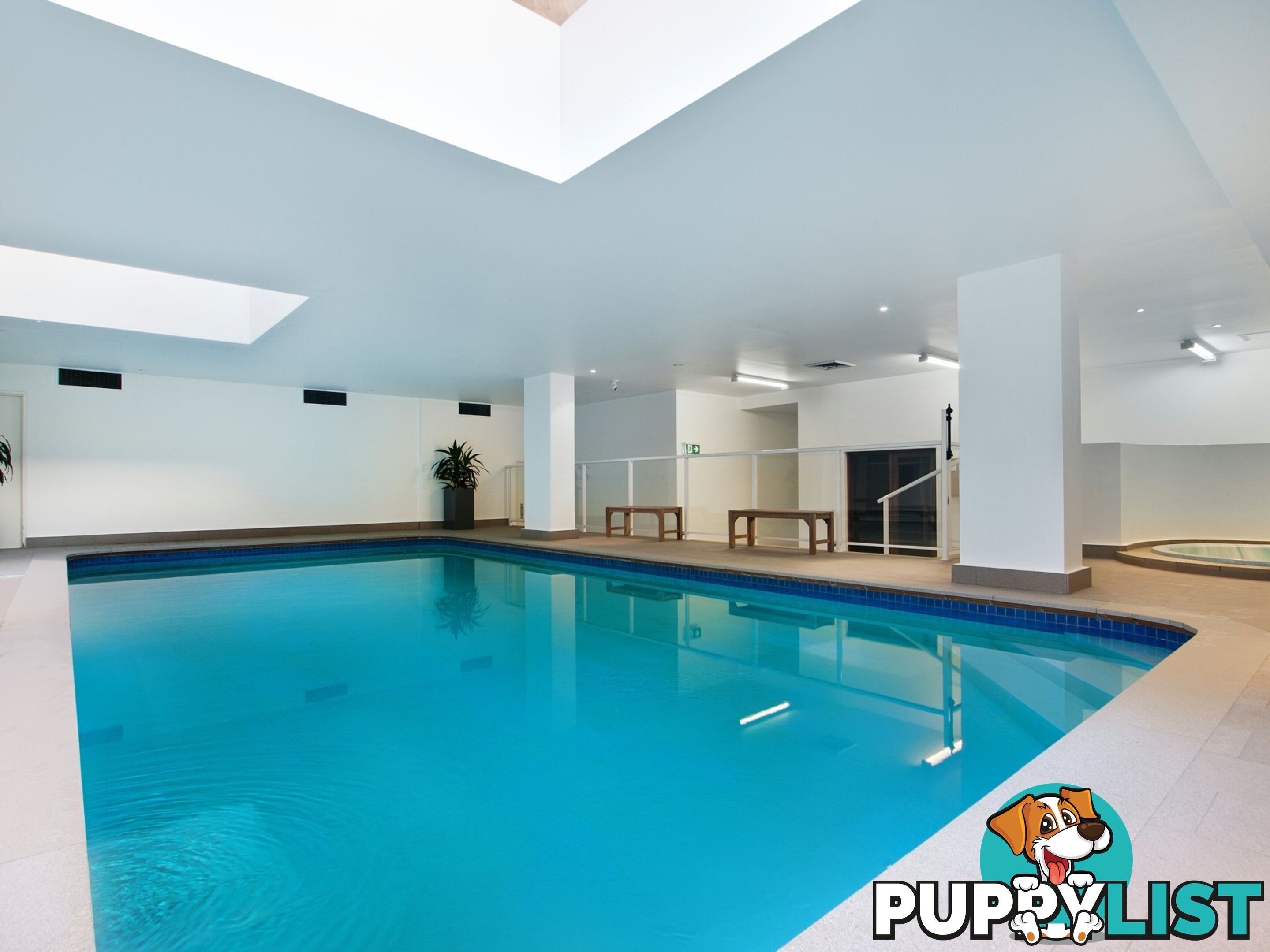 S306/233 Harris Street PYRMONT NSW 2009