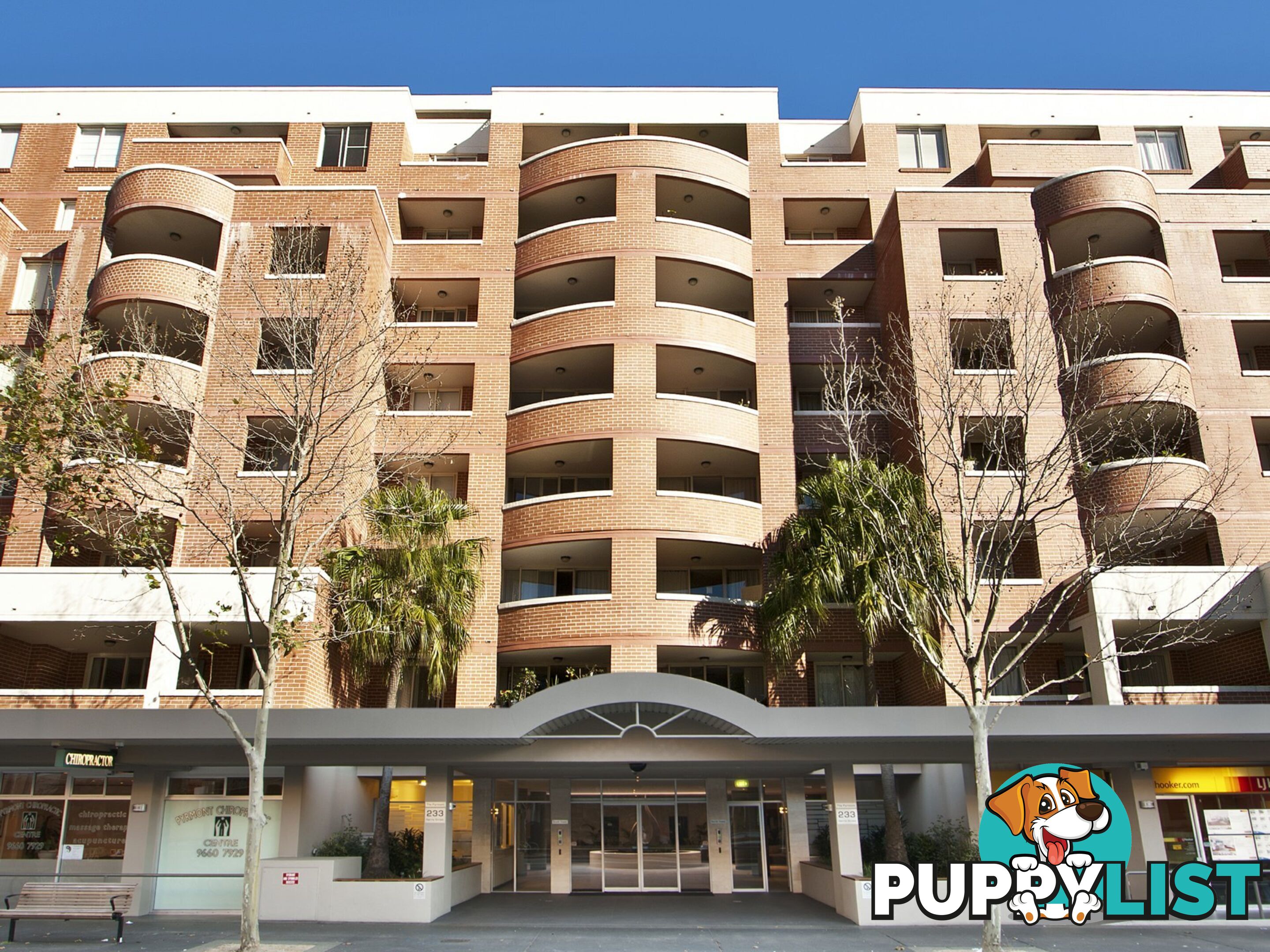 S306/233 Harris Street PYRMONT NSW 2009