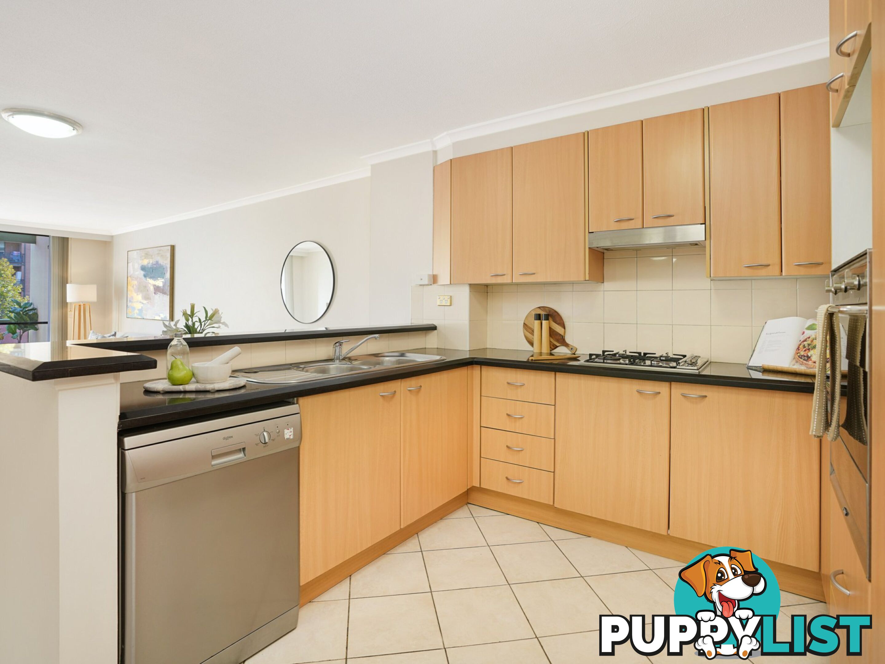 154/149 Pyrmont Street PYRMONT NSW 2009