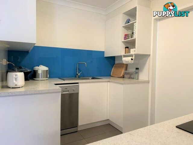 38/267 Bulwara Road PYRMONT NSW 2009