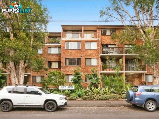 38/267 Bulwara Road PYRMONT NSW 2009