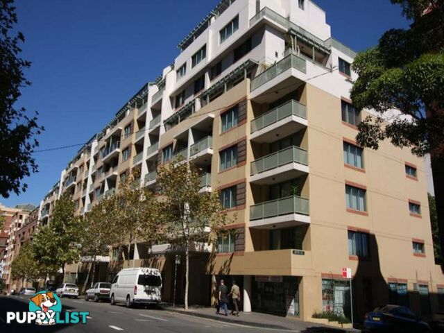 16/149 Pyrmont Street PYRMONT NSW 2009