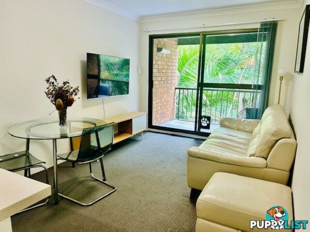 101/313 Harris Street PYRMONT NSW 2009