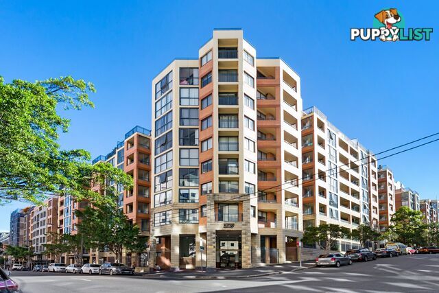 120/1 Bunn Street PYRMONT NSW 2009