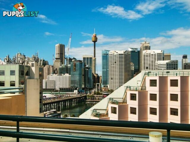 120/1 Bunn Street PYRMONT NSW 2009