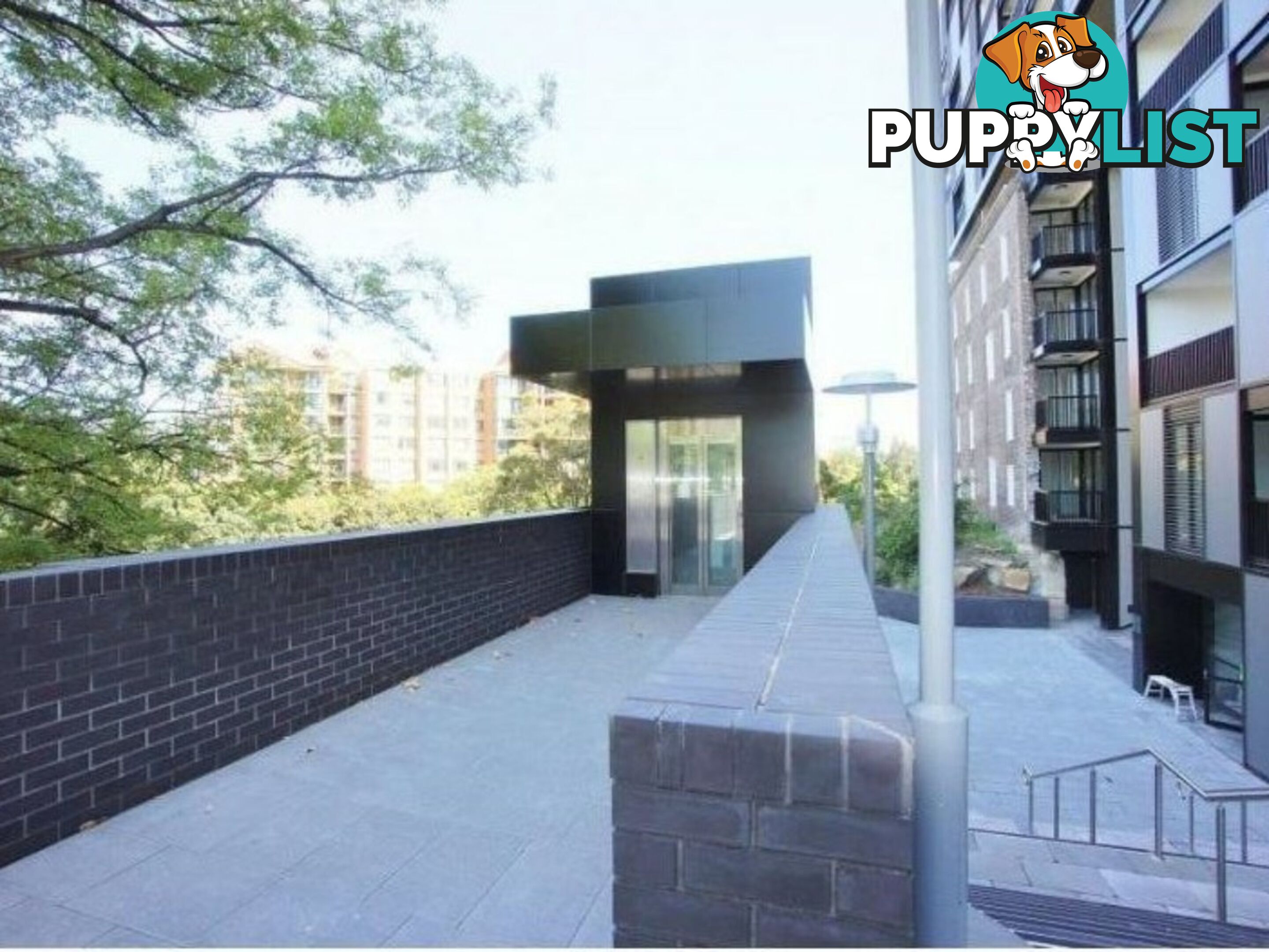 119/280 Jones Street PYRMONT NSW 2009