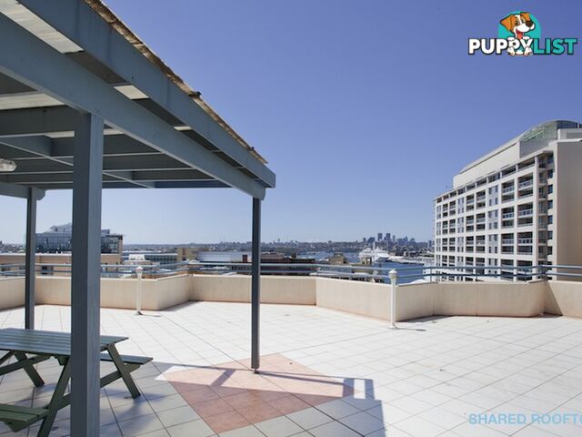 128/120 Pyrmont Street PYRMONT NSW 2009