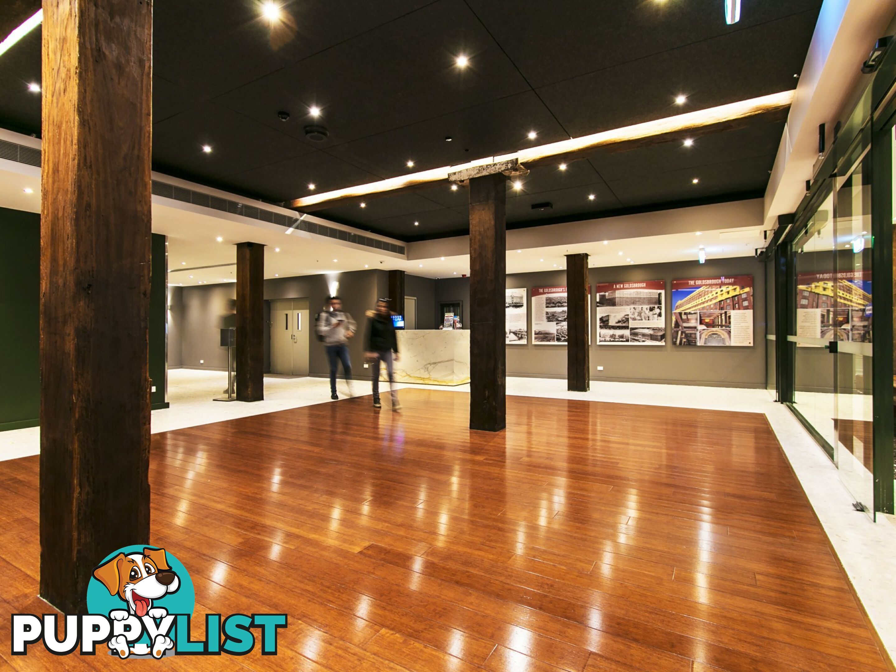 616/243 Pyrmont Street PYRMONT NSW 2009