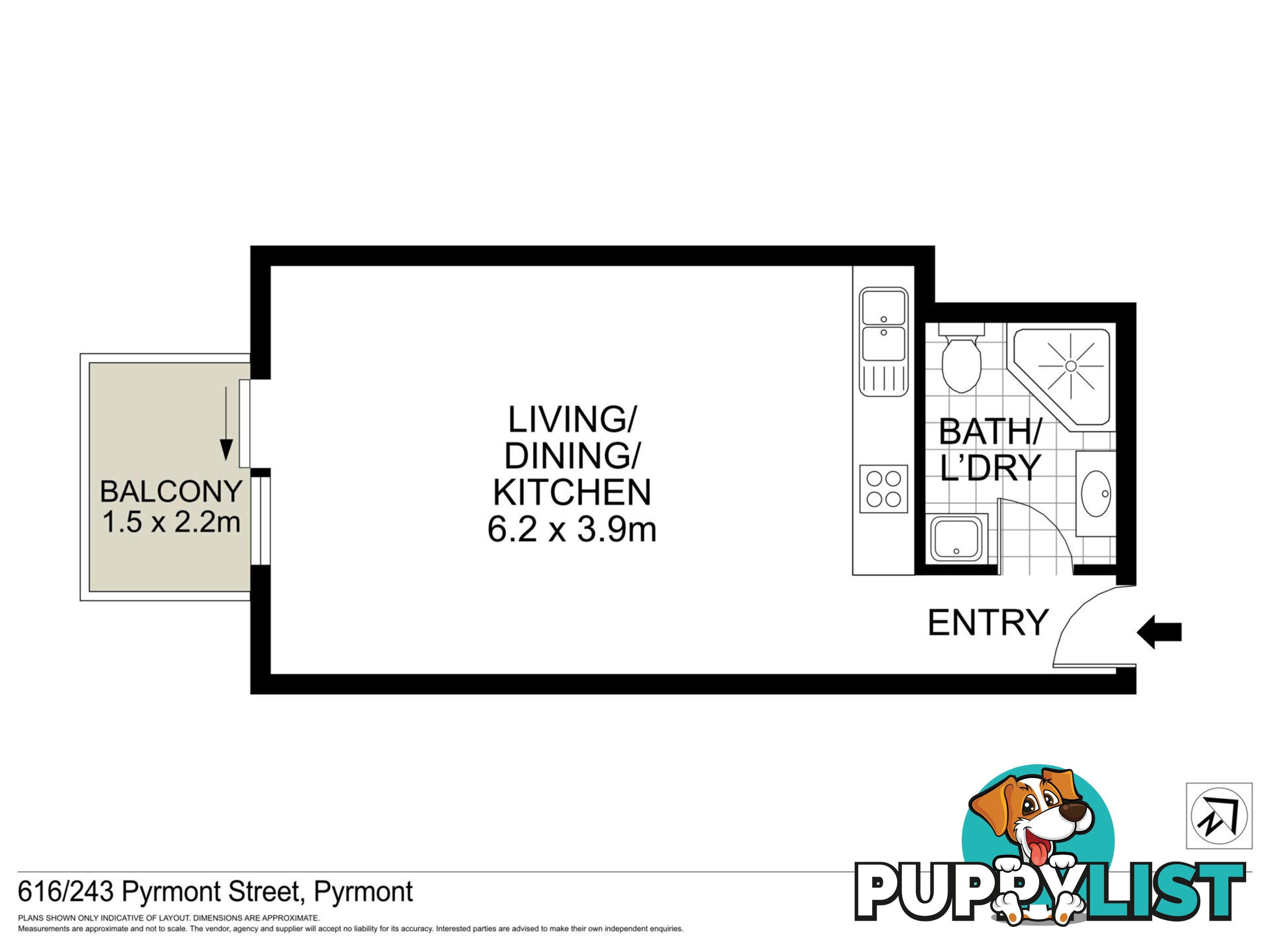 616/243 Pyrmont Street PYRMONT NSW 2009