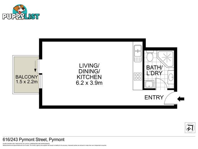 616/243 Pyrmont Street PYRMONT NSW 2009
