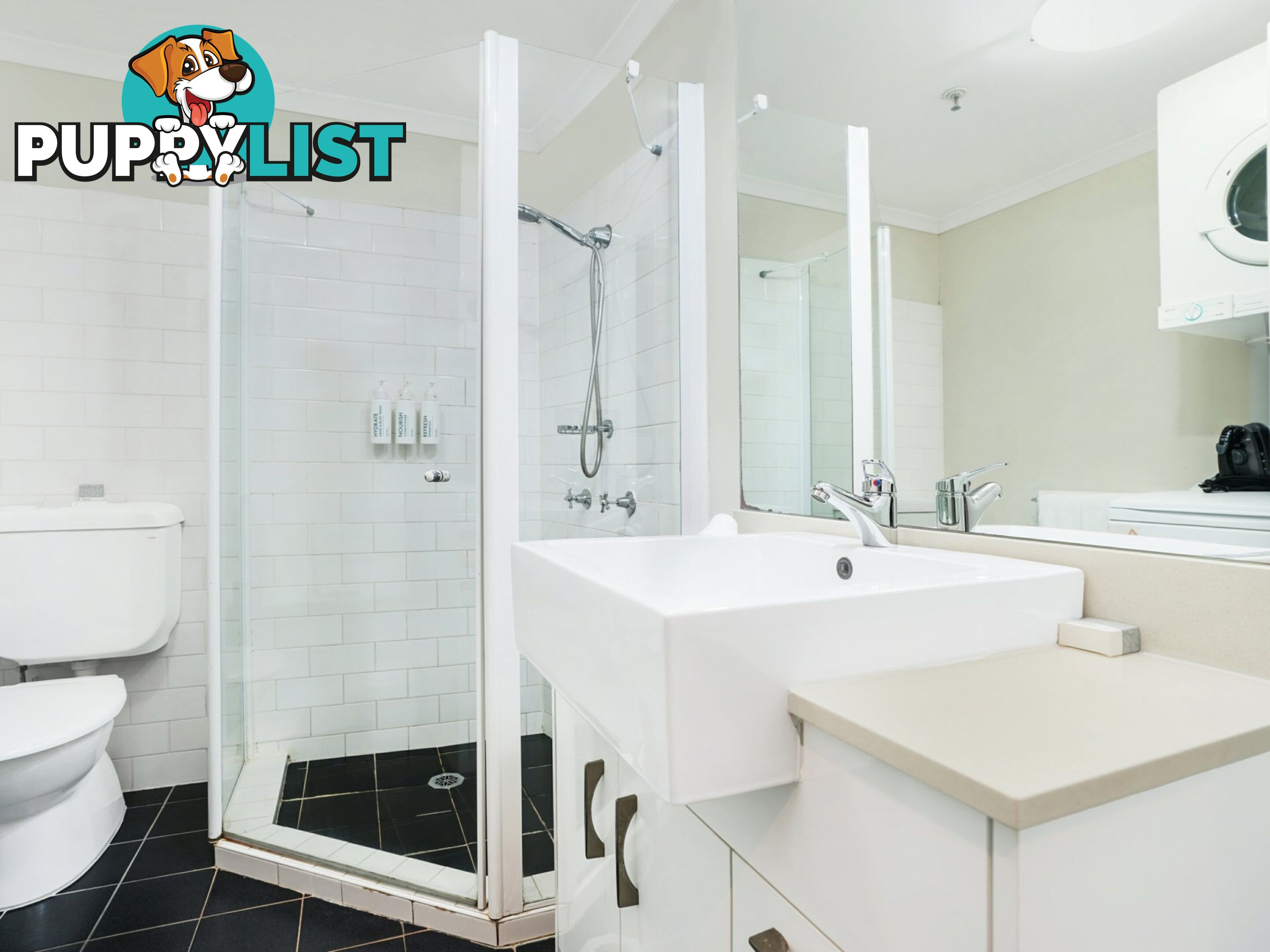 616/243 Pyrmont Street PYRMONT NSW 2009