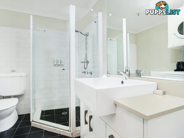 616/243 Pyrmont Street PYRMONT NSW 2009