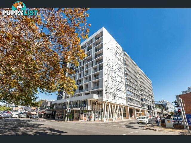 404/88 Archer St CHATSWOOD NSW 2057