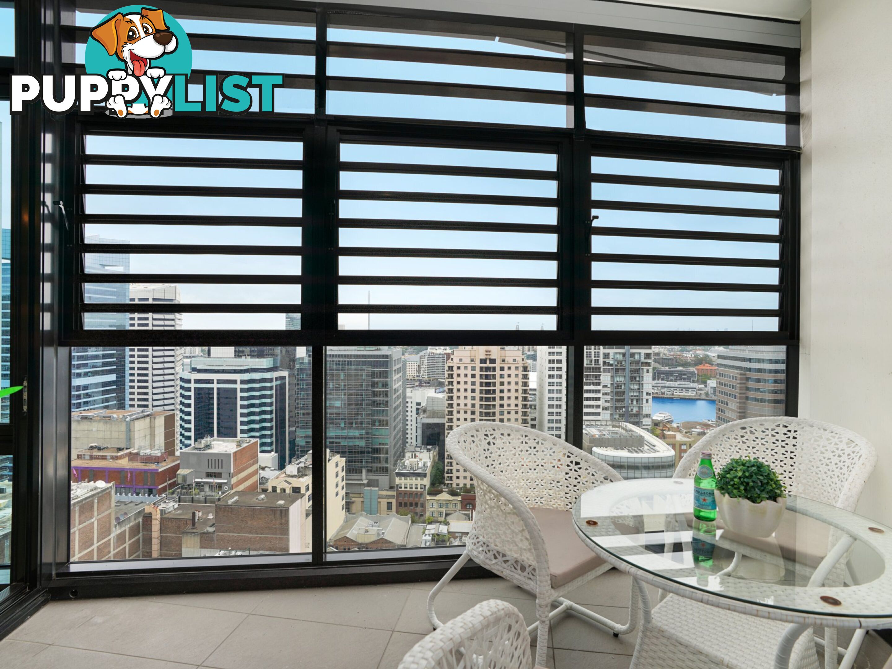 2401/38 York Street SYDNEY NSW 2000
