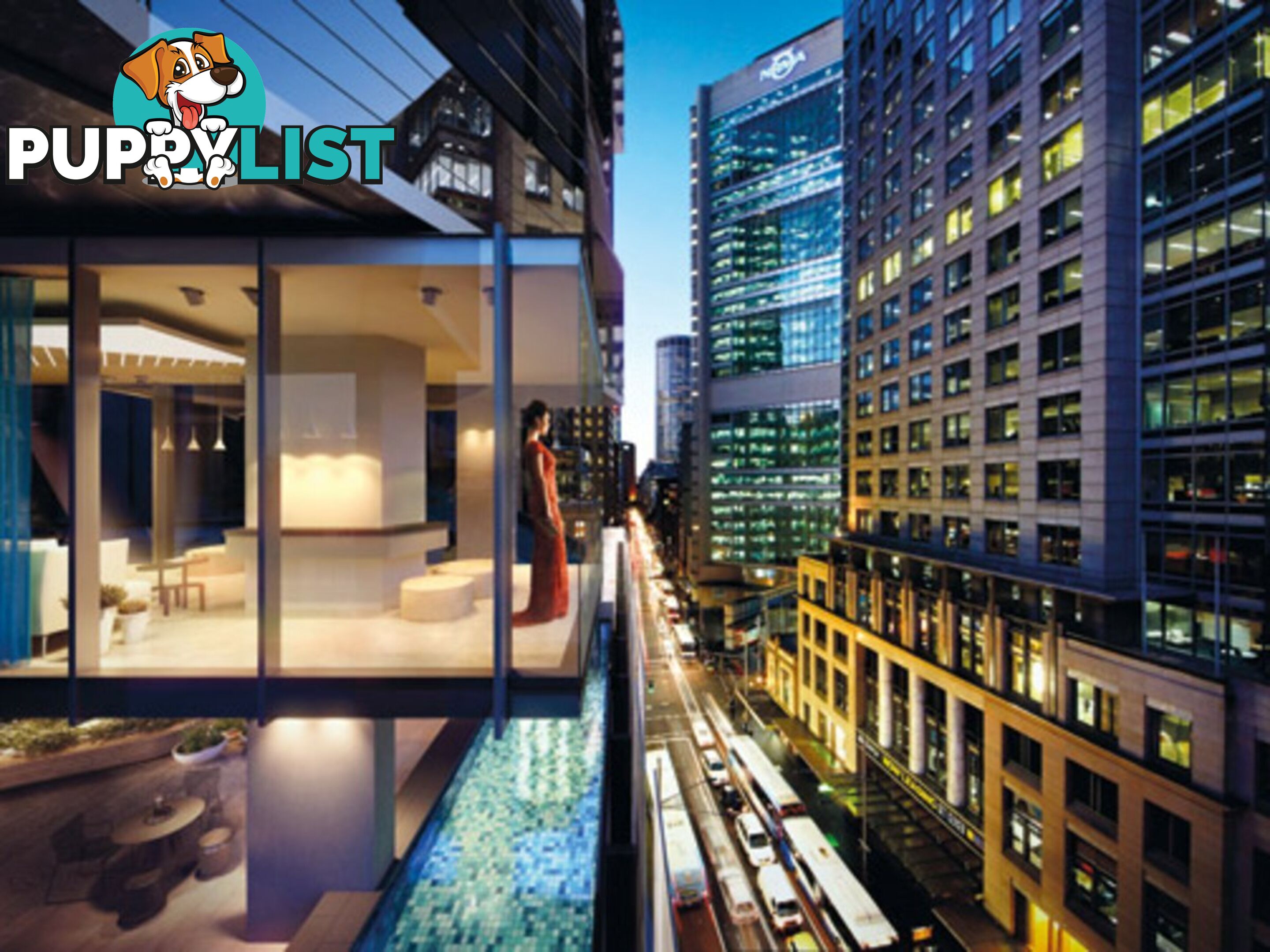 2401/38 York Street SYDNEY NSW 2000