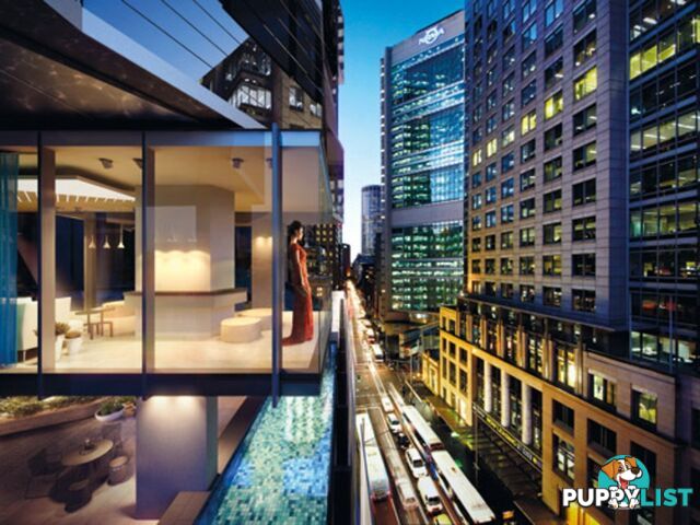 2401/38 York Street SYDNEY NSW 2000