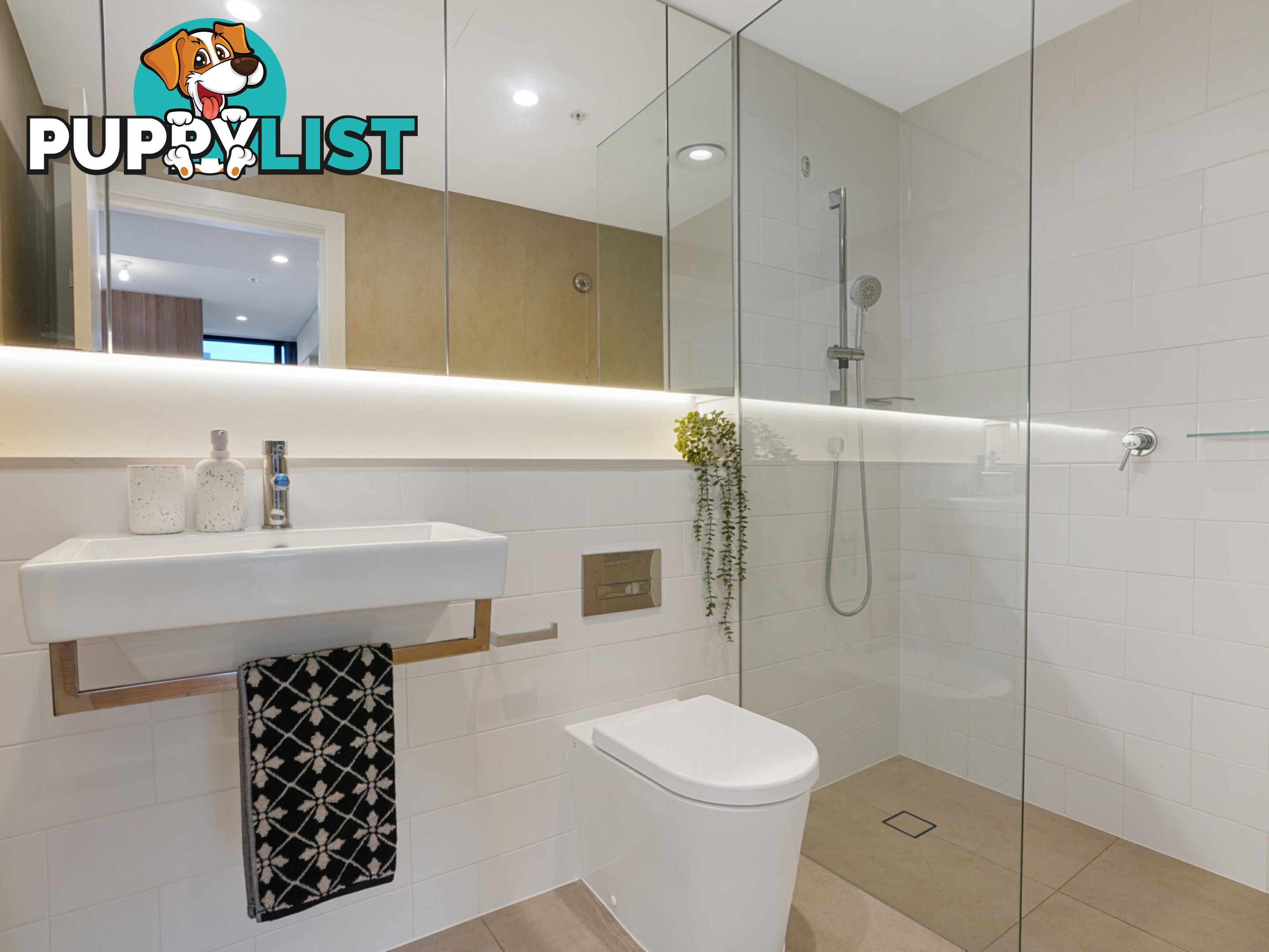 2401/38 York Street SYDNEY NSW 2000