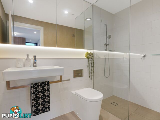 2401/38 York Street SYDNEY NSW 2000