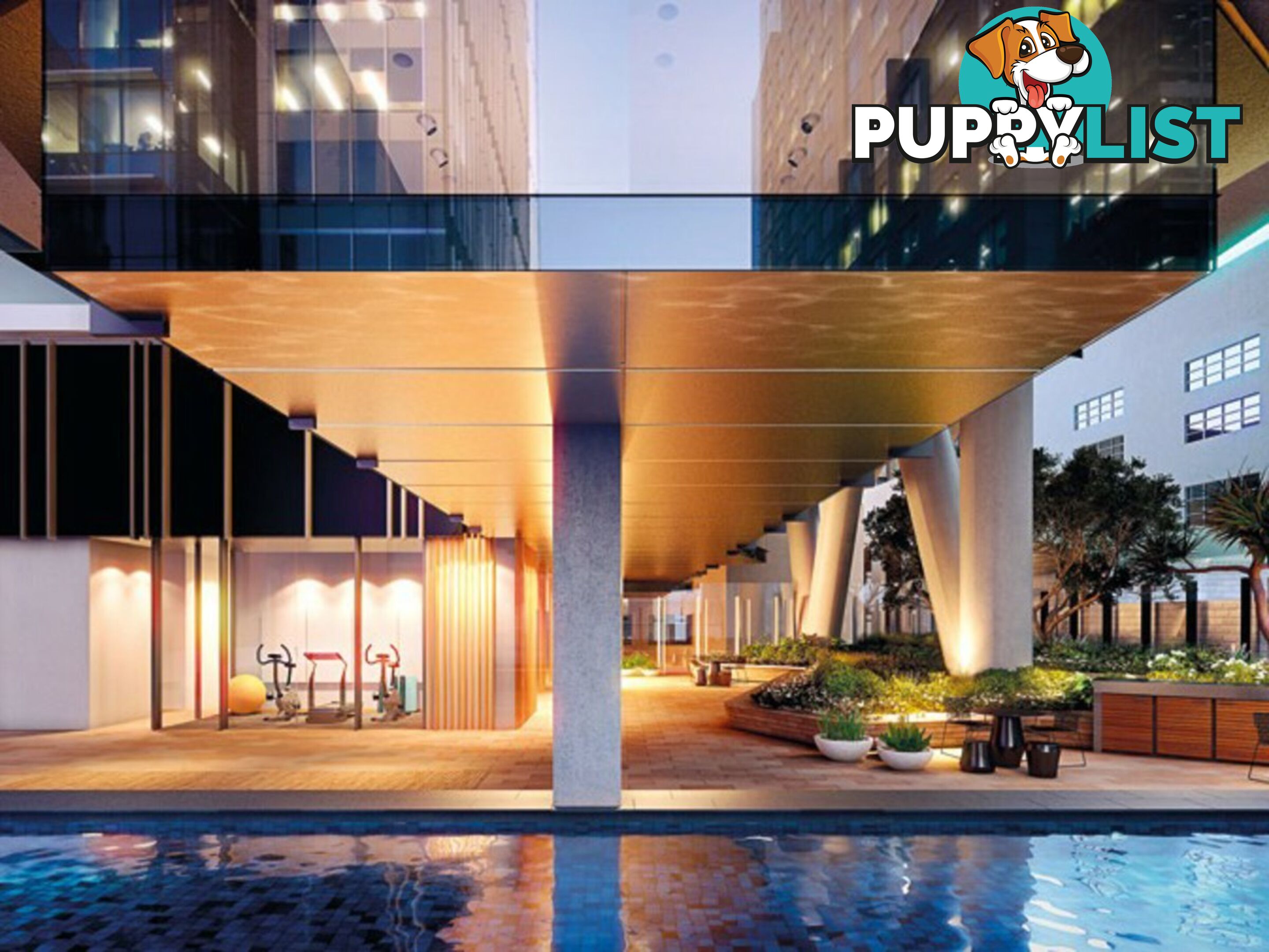2401/38 York Street SYDNEY NSW 2000