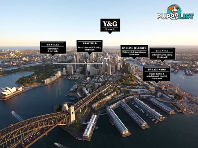 2401/38 York Street SYDNEY NSW 2000
