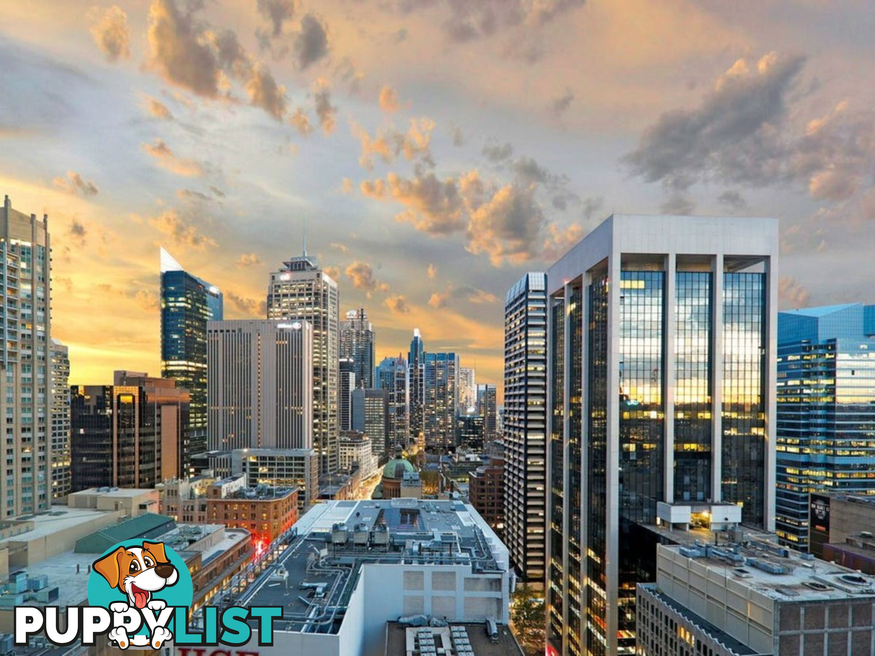 2401/38 York Street SYDNEY NSW 2000