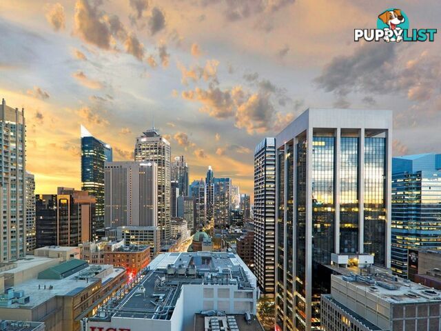 2401/38 York Street SYDNEY NSW 2000