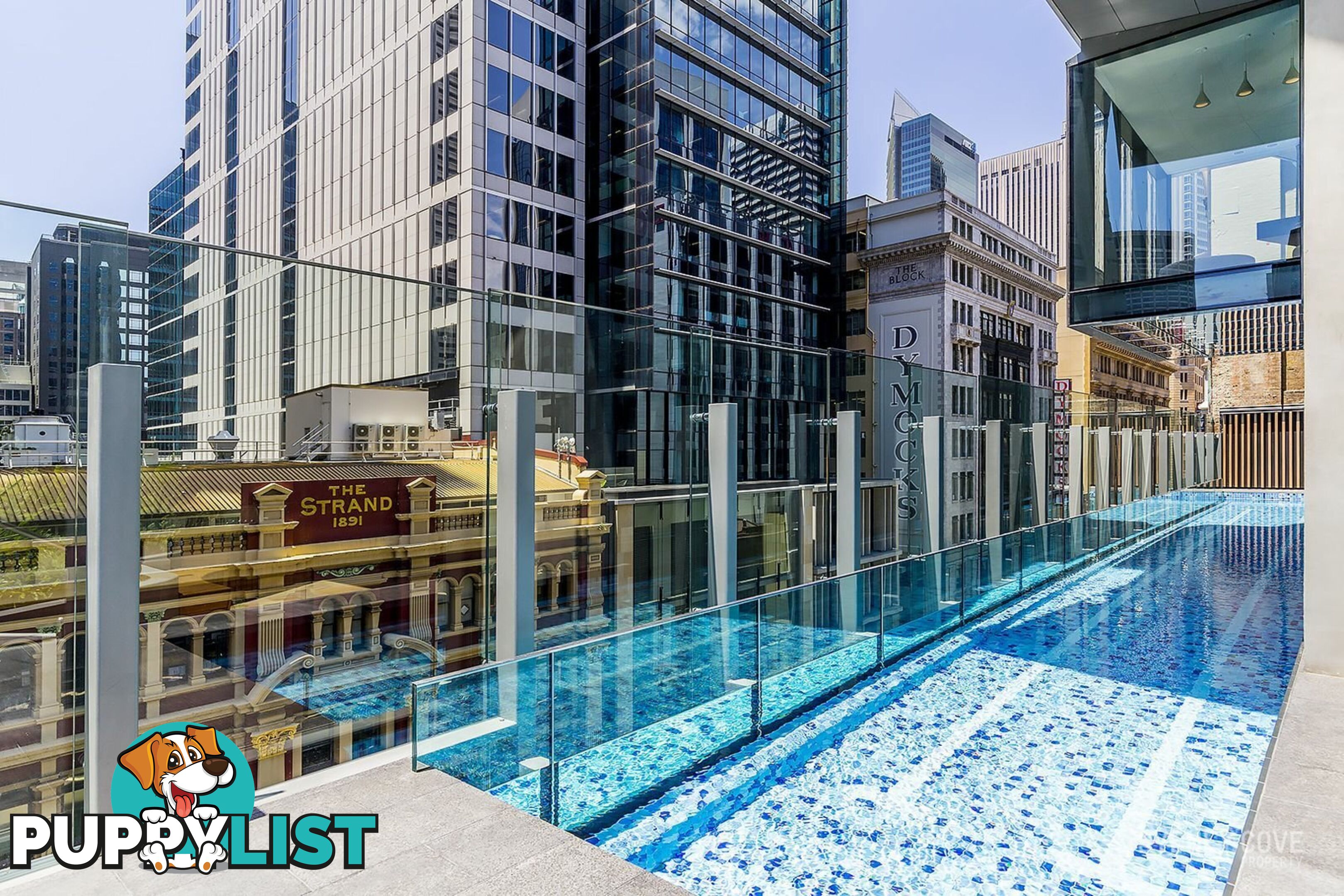 2401/38 York Street SYDNEY NSW 2000