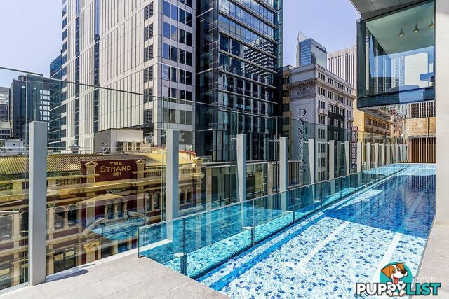 2401/38 York Street SYDNEY NSW 2000