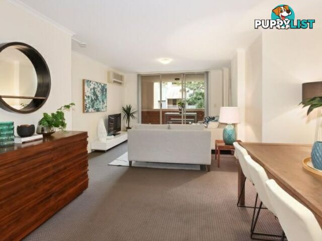 N104/233 Harris St PYRMONT NSW 2009