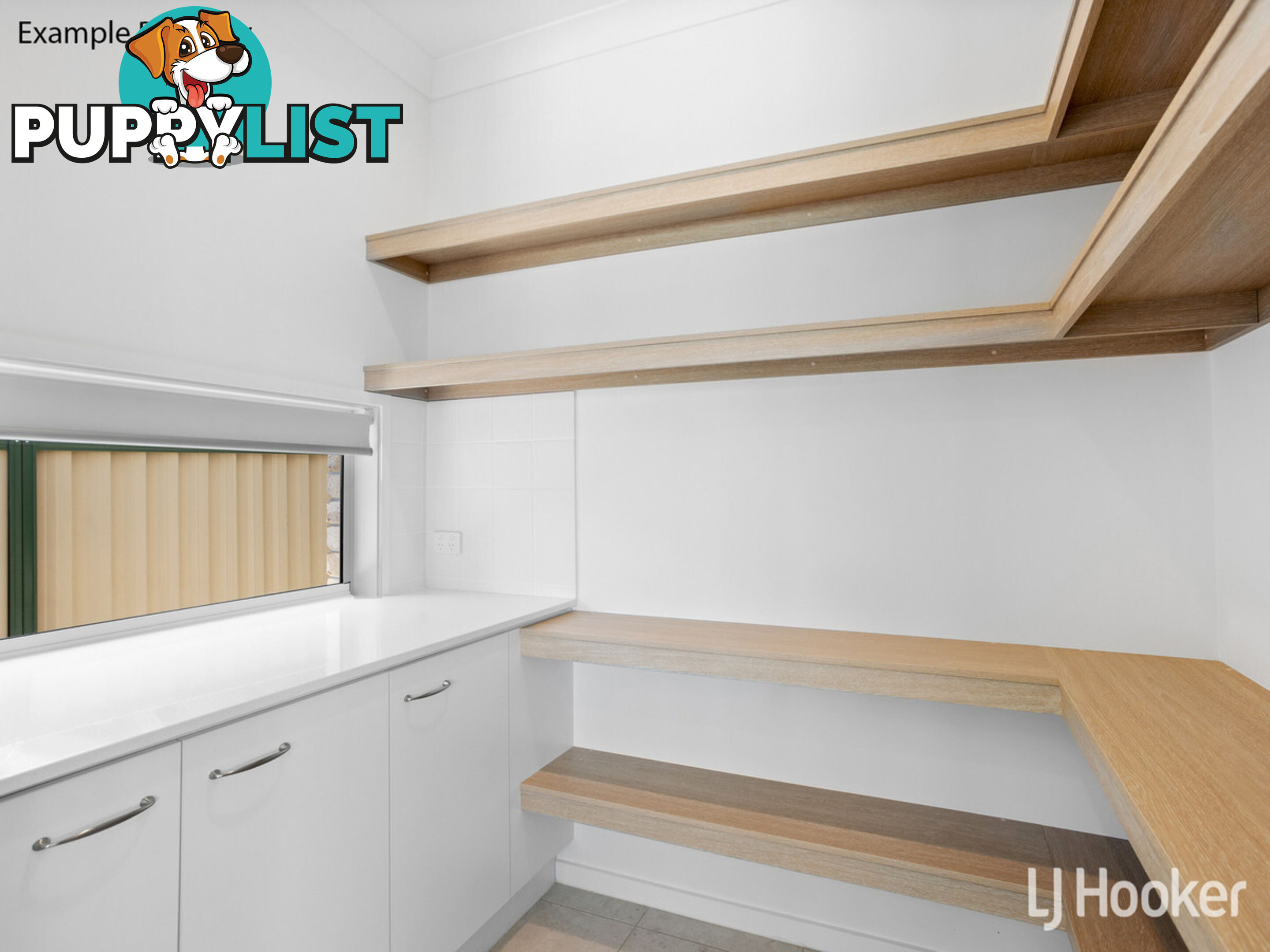 37 King Street WOODY POINT QLD 4019