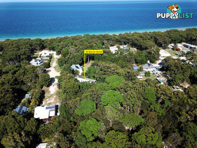 19 Warner Street BULWER QLD 4025