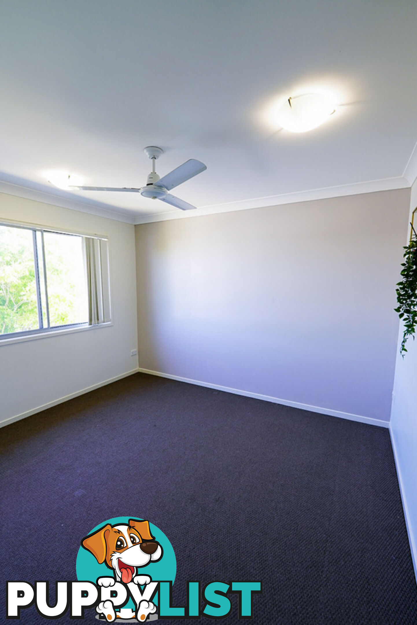 47/1 Linear Drive MANGO HILL QLD 4509