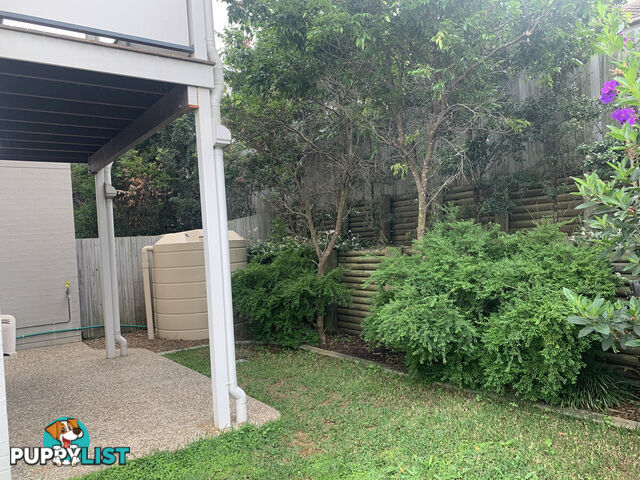 23/42-51 Wattlebird Street MANGO HILL QLD 4509