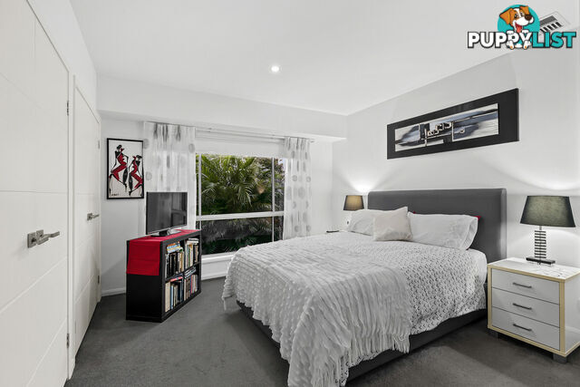 11 Warde Street SCARBOROUGH QLD 4020