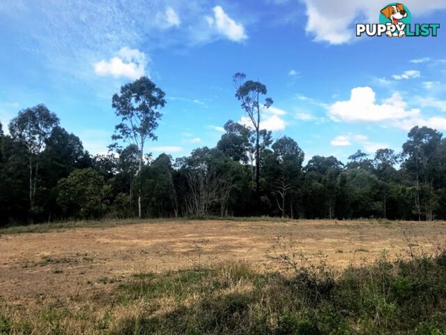 TAMAREE QLD 4570