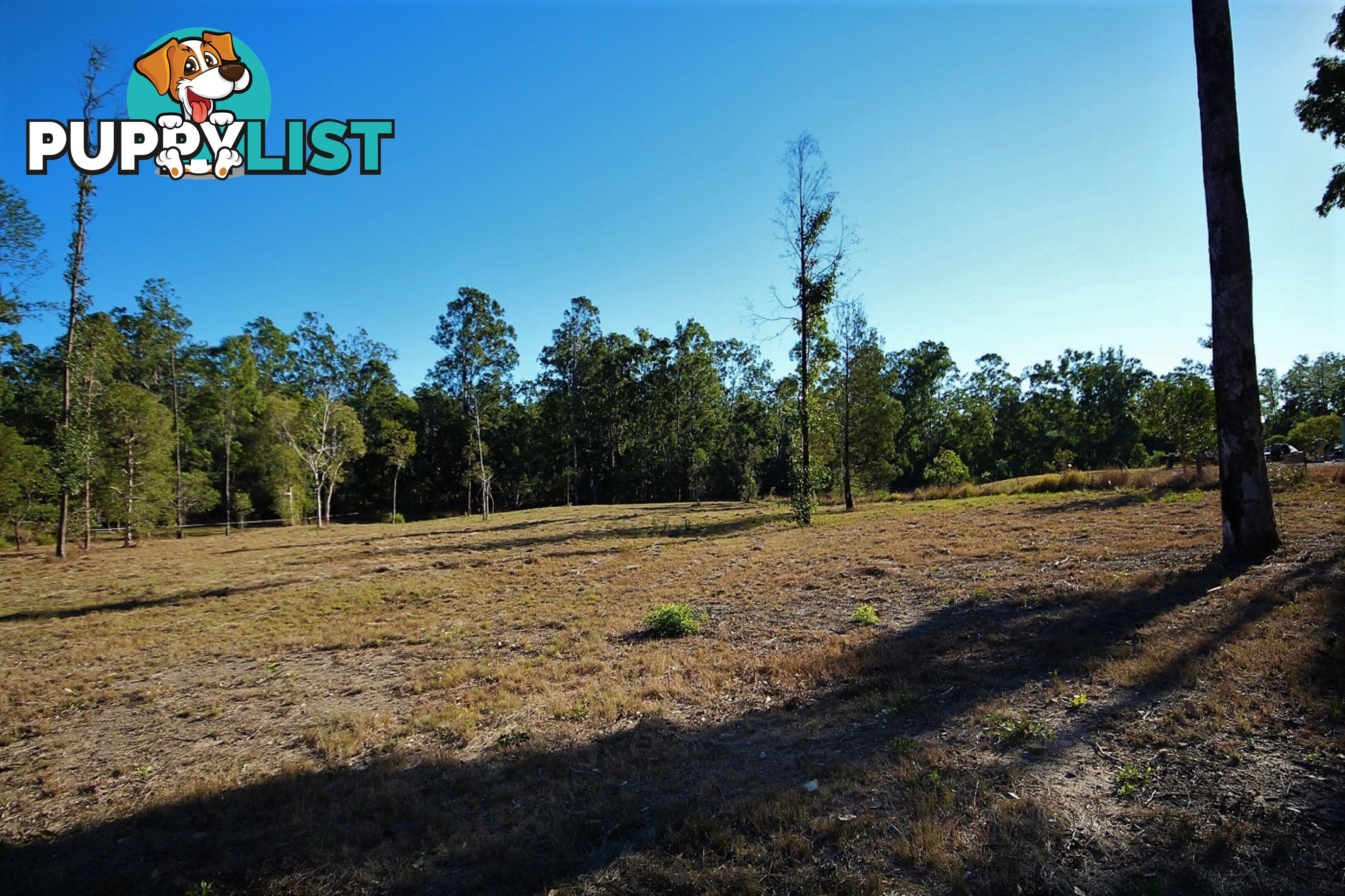 LOT 630 Neerdie Road GLENWOOD QLD 4570