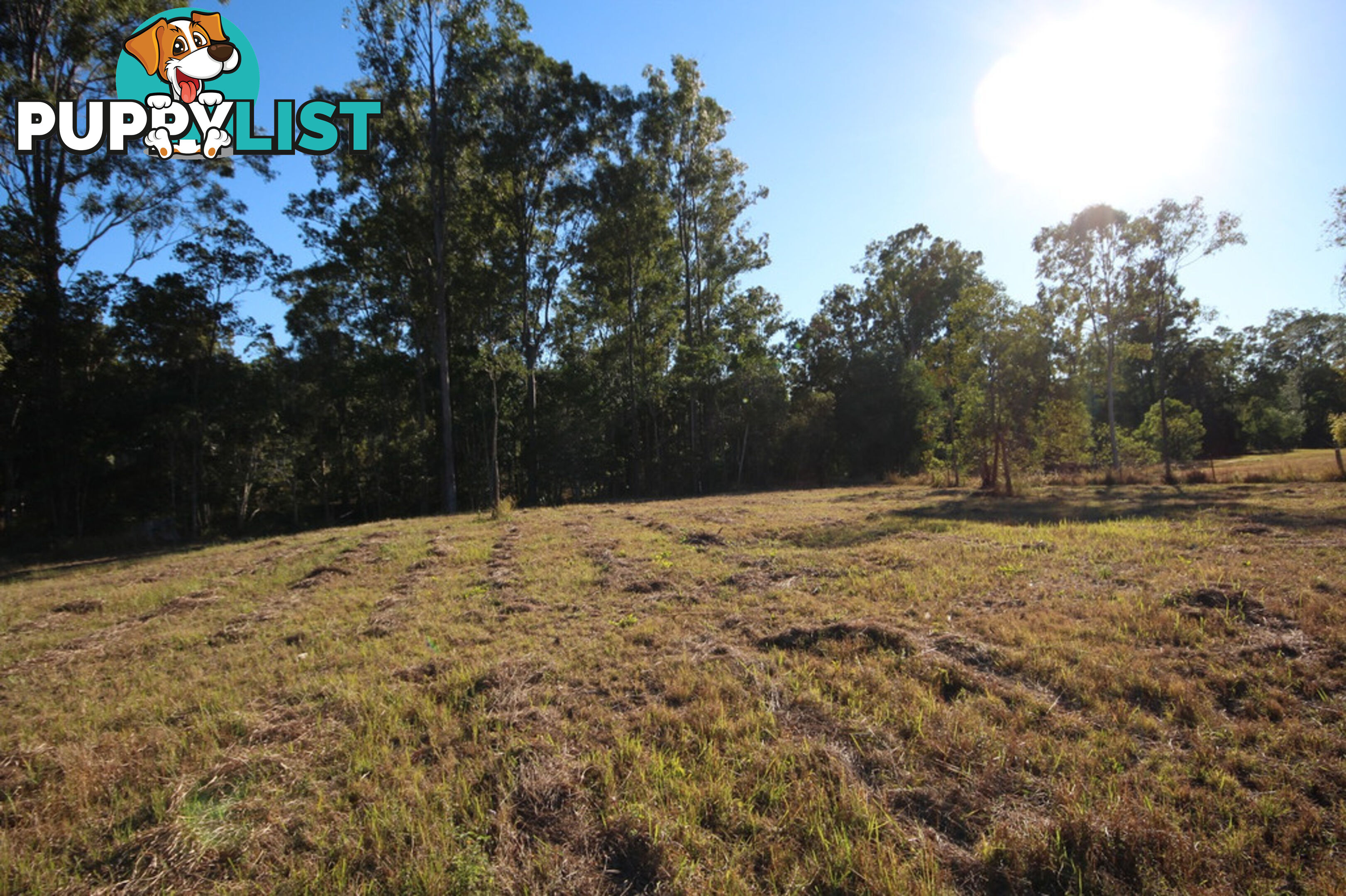 LOT 630 Neerdie Road GLENWOOD QLD 4570