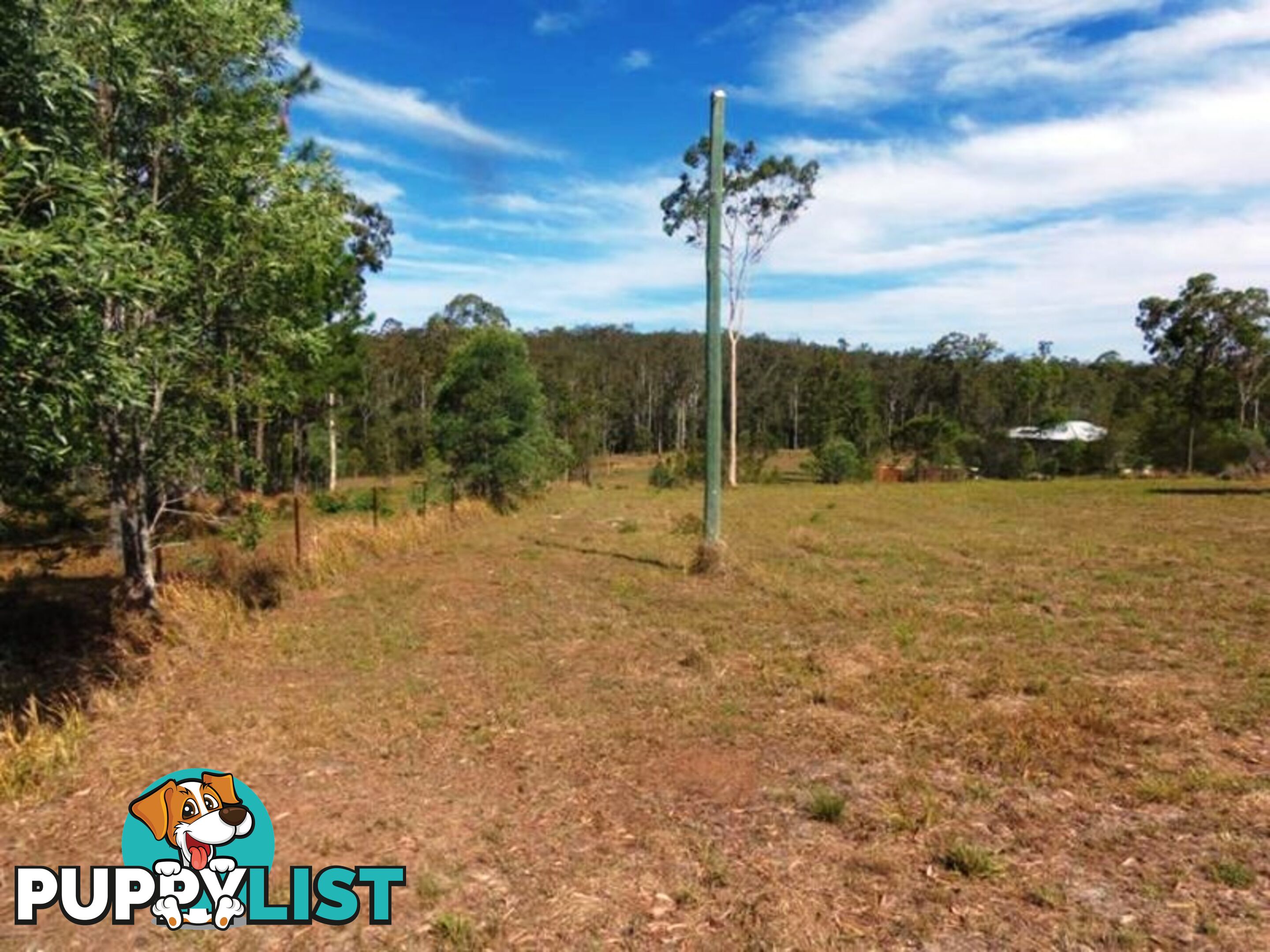 46 Arborsix Road GLENWOOD QLD 4570