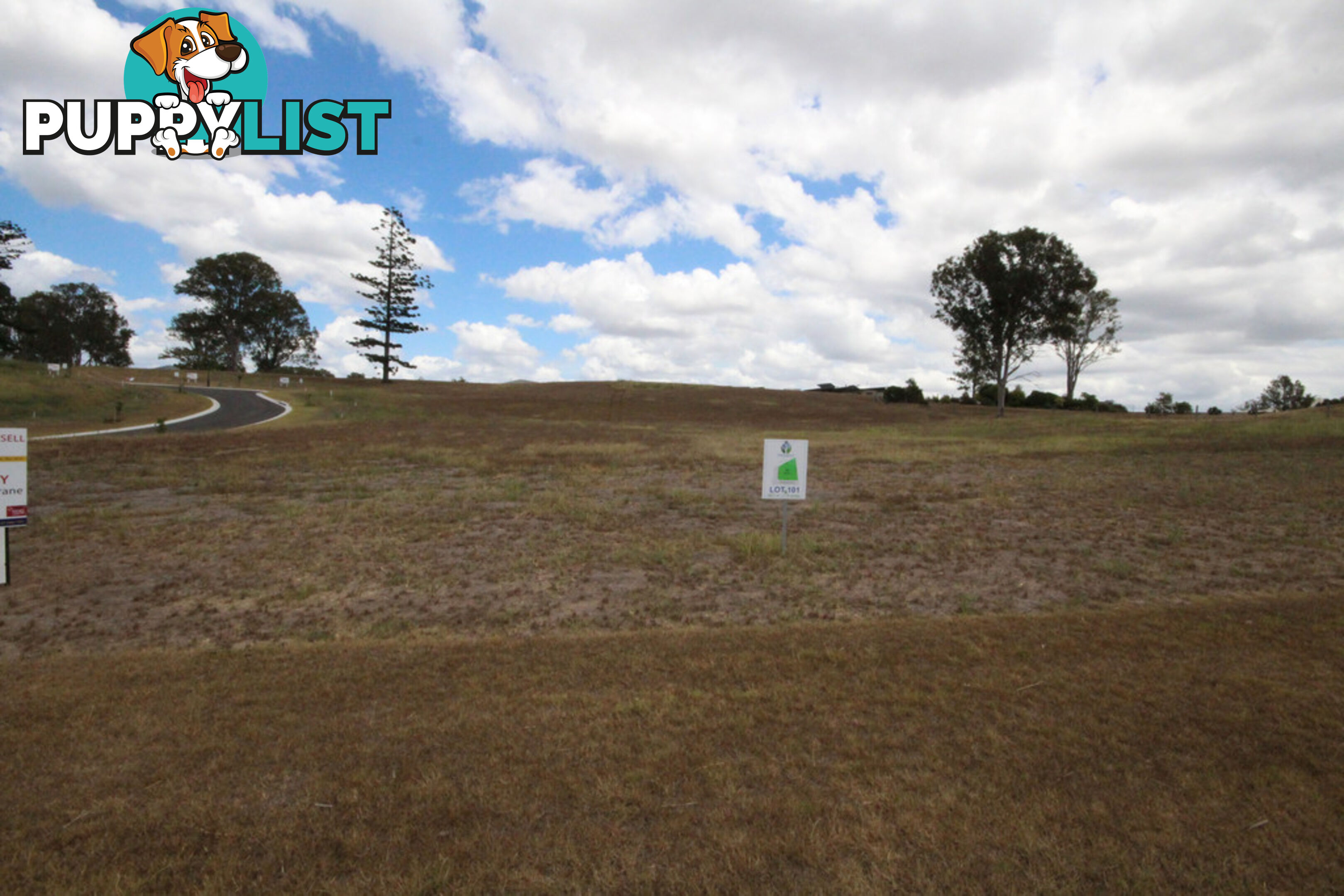 Lot 101 Watergum Drive - GREENDALE DOWNS PIE CREEK QLD 4570