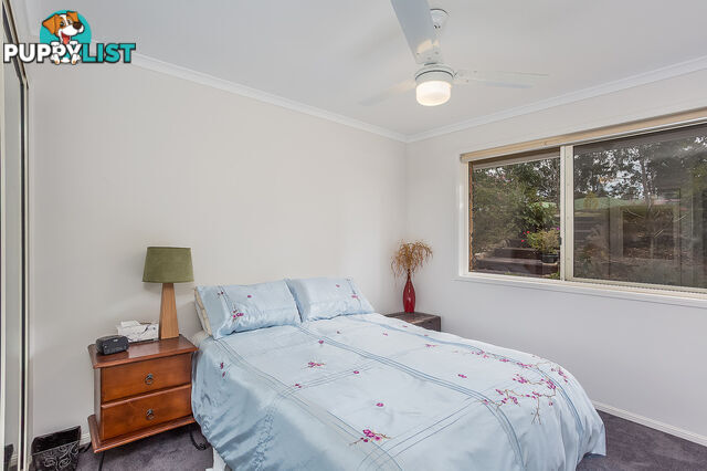 8 Oxford Court SOUTHSIDE QLD 4570