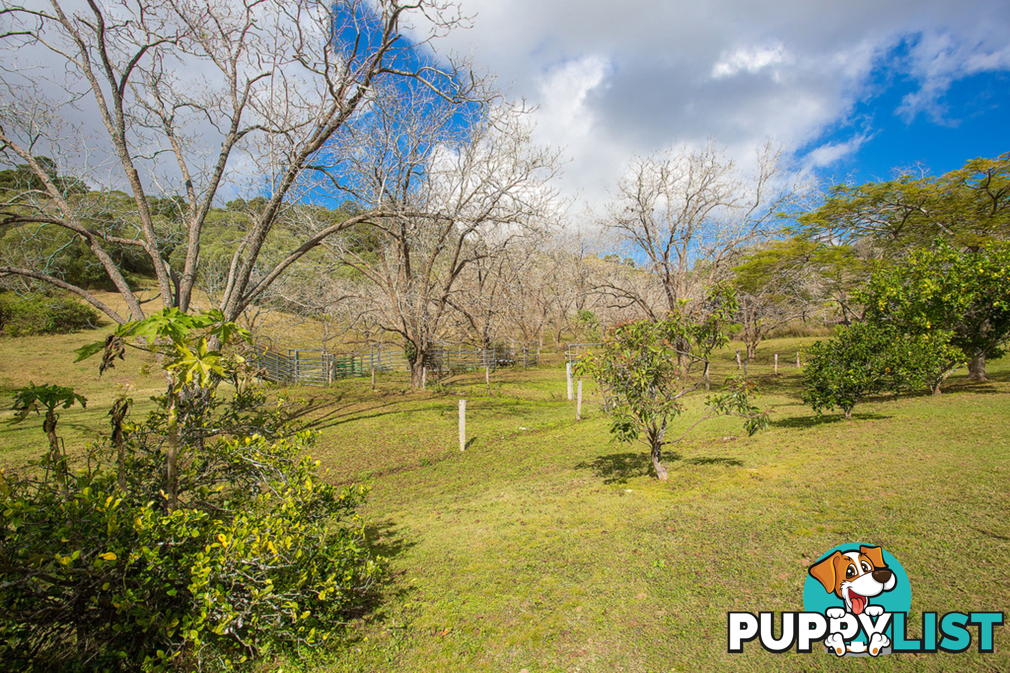 205 Blackgate Road AMAMOOR QLD 4570