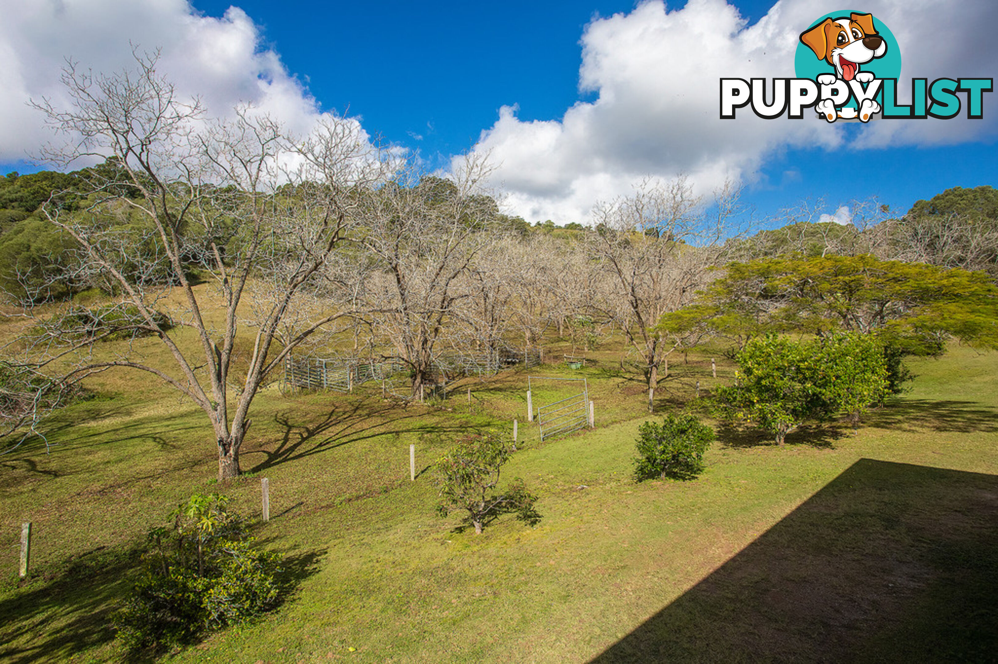 205 Blackgate Road AMAMOOR QLD 4570