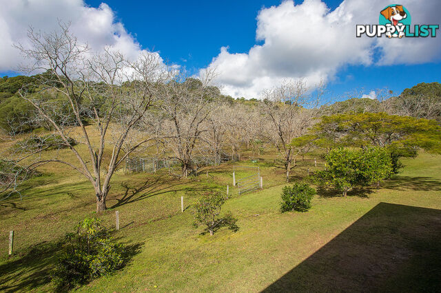 205 Blackgate Road AMAMOOR QLD 4570