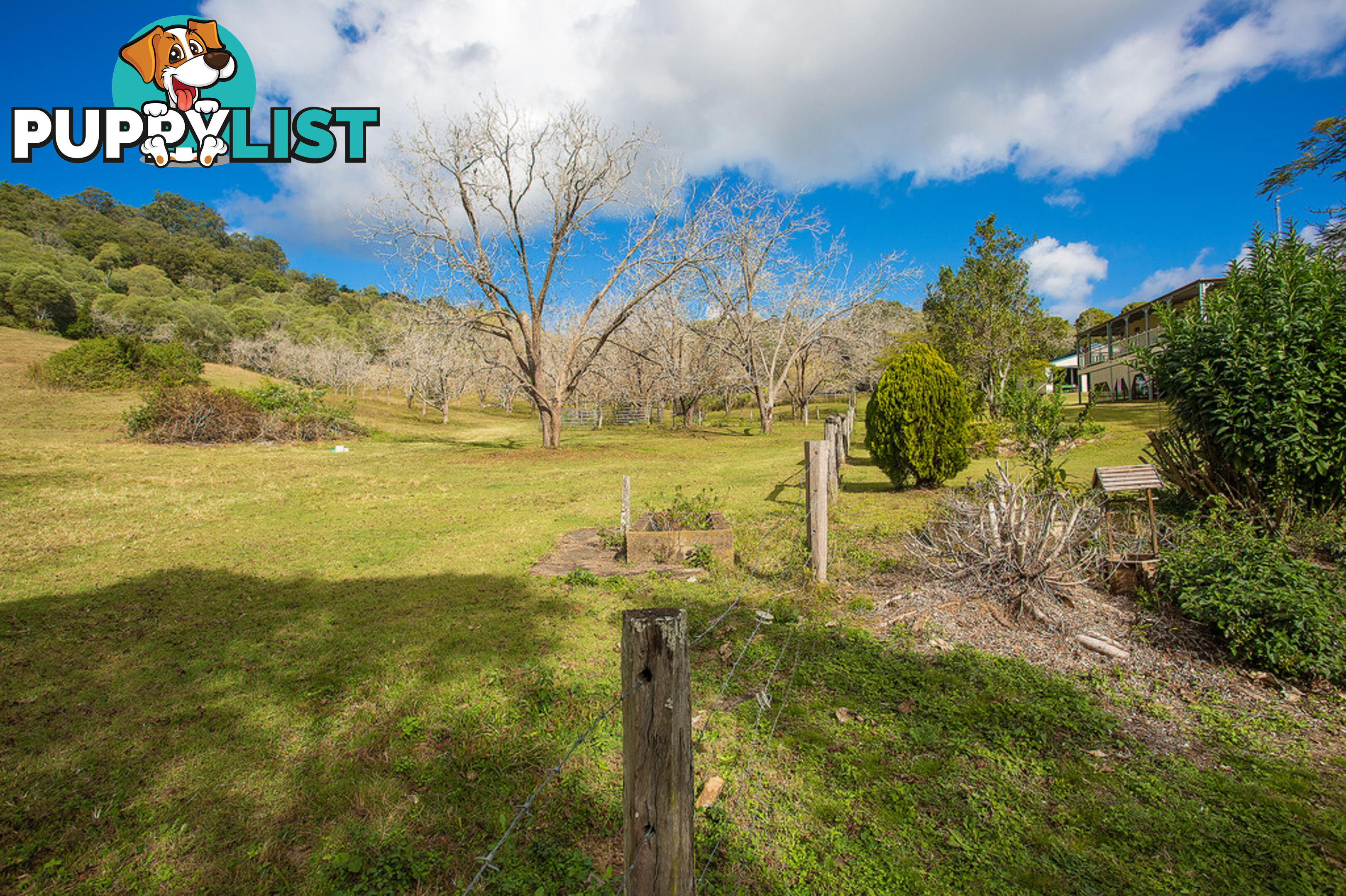 205 Blackgate Road AMAMOOR QLD 4570