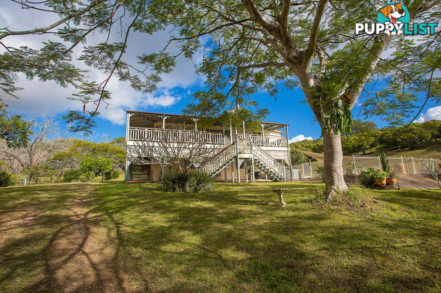 205 Blackgate Road AMAMOOR QLD 4570