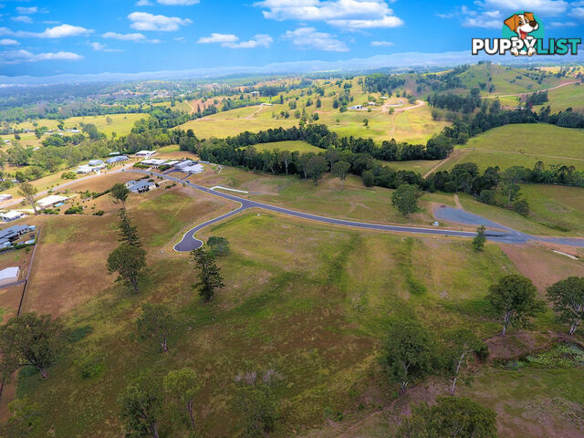 Lot 55 Watergum Drive - GREENDALE DOWNS PIE CREEK QLD 4570