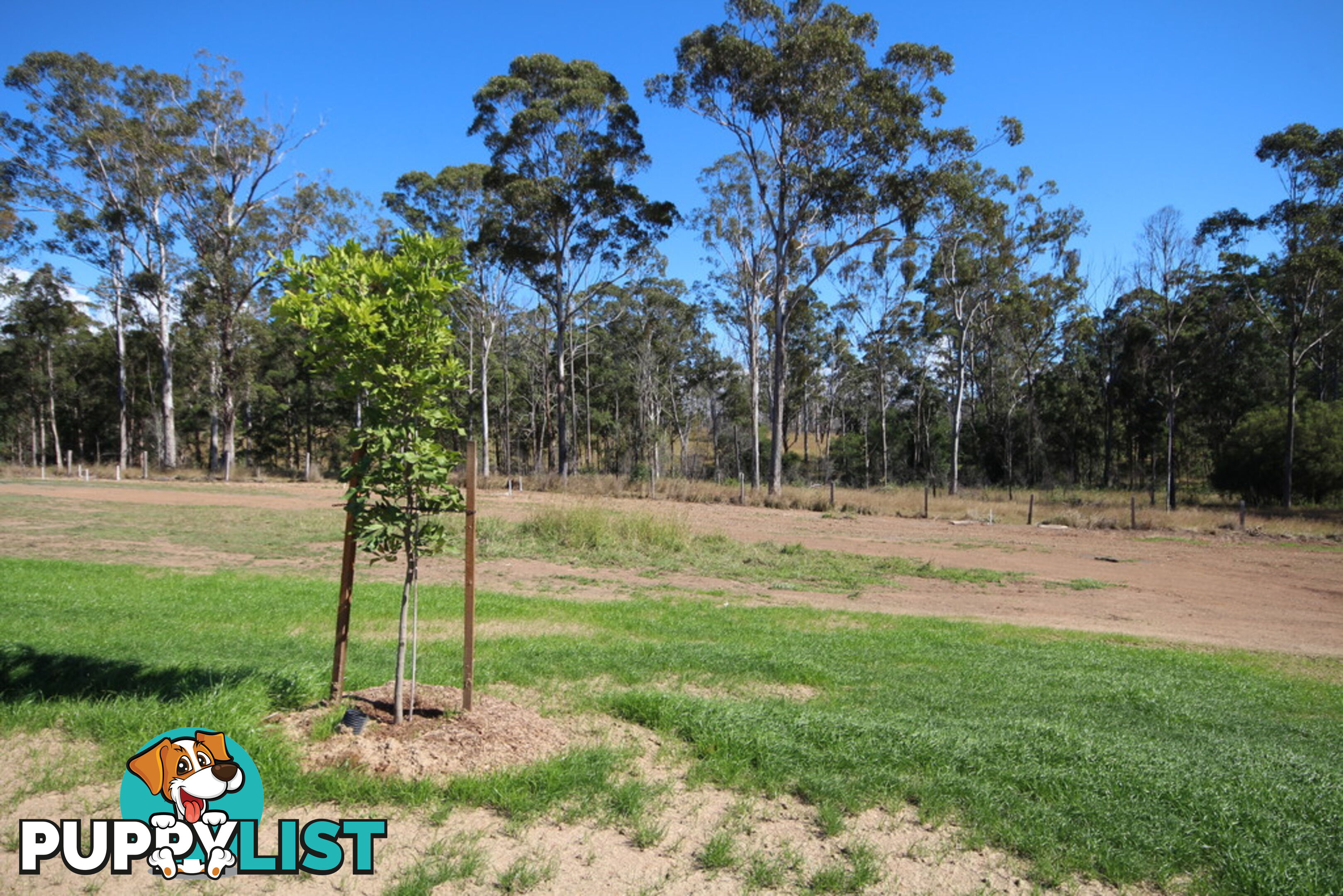 Lot 93 Woodland Dve SOUTHSIDE QLD 4570