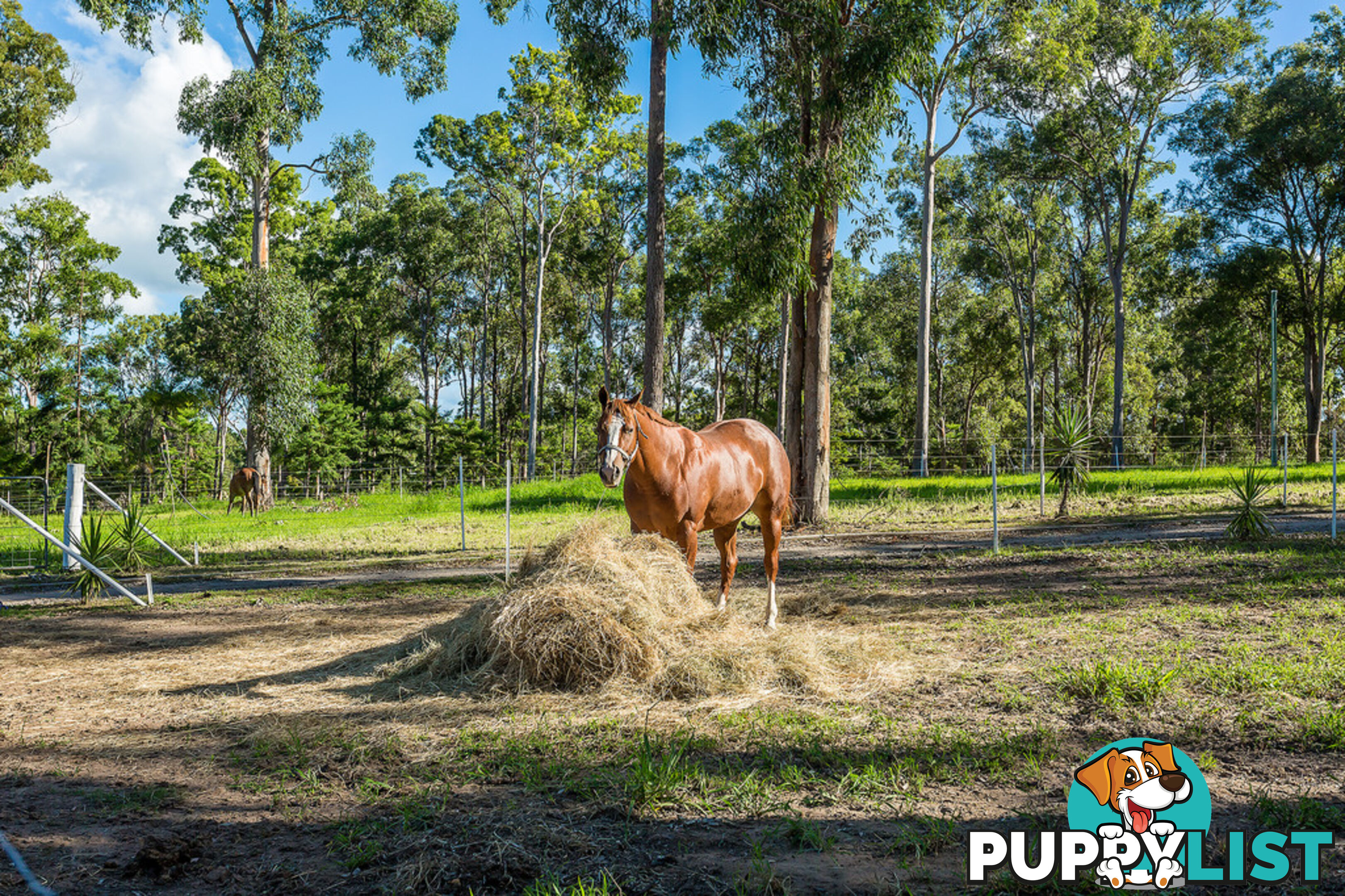 68 Herron Road PIE CREEK QLD 4570