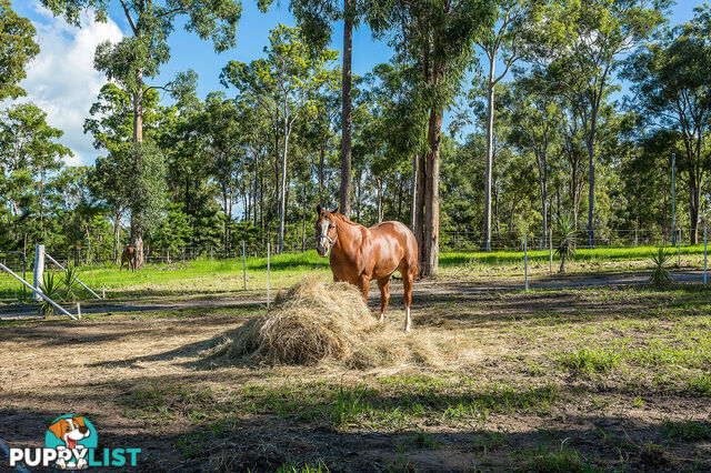 68 Herron Road PIE CREEK QLD 4570