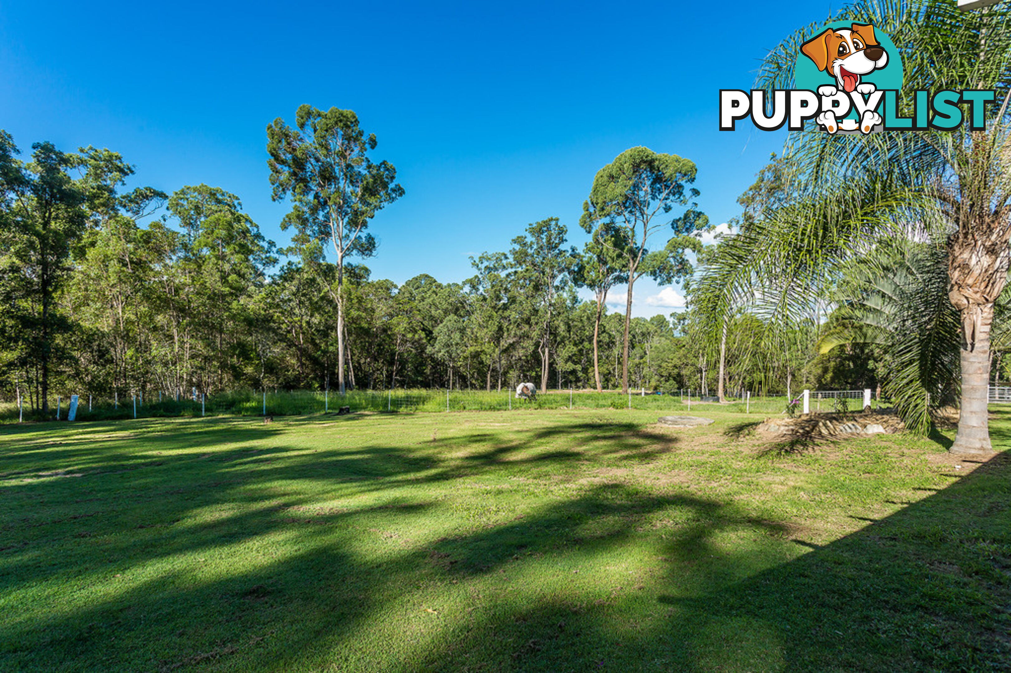 68 Herron Road PIE CREEK QLD 4570